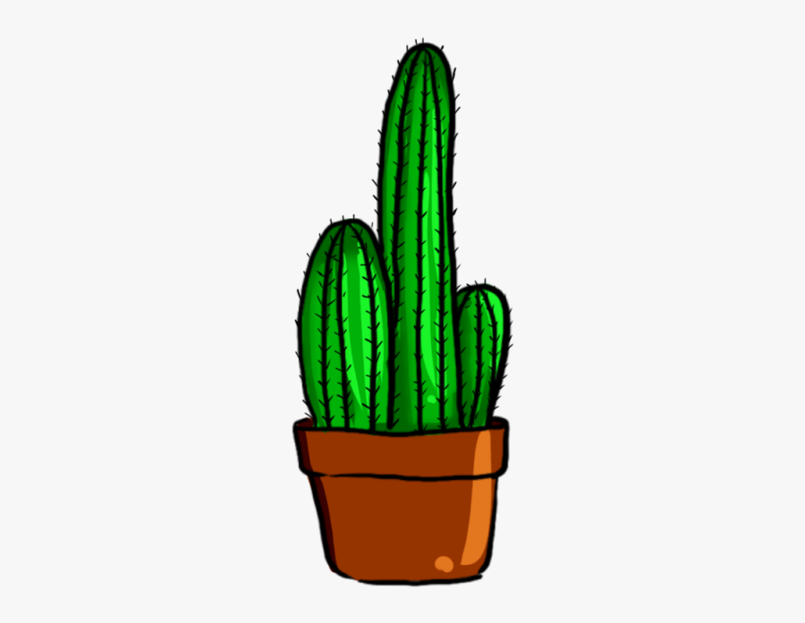 Cactus Vector Plant - ต้น กระบองเพชร Png, Transparent Clipart
