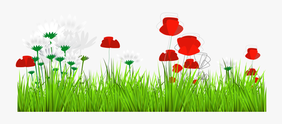 Transparent Poppies Png - Rumput Png, Transparent Clipart