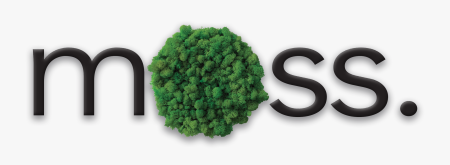 Architectural - Decorative - Branding - Unique - - - Eastern Hemlock, Transparent Clipart