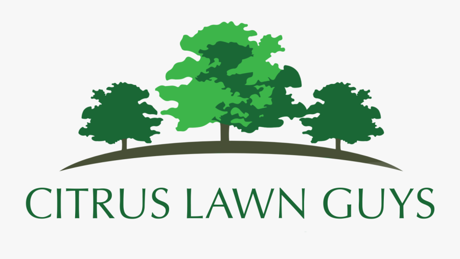 Tree Clipart Landscape Logo , Transparent Cartoons - Higher Ground Landscaping, Transparent Clipart