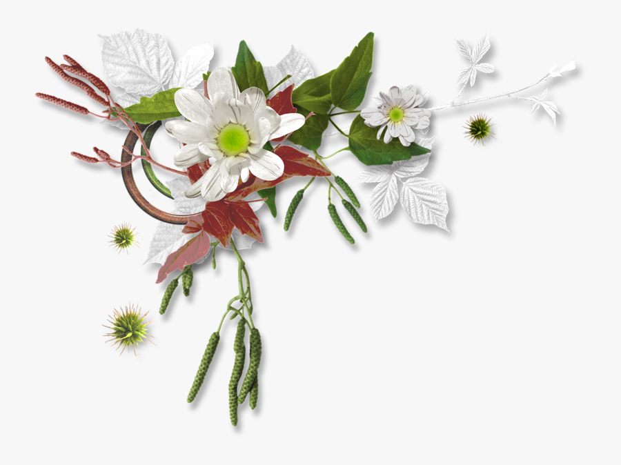 Уголки И Разделители На Прозрачном Фоне, Transparent Clipart