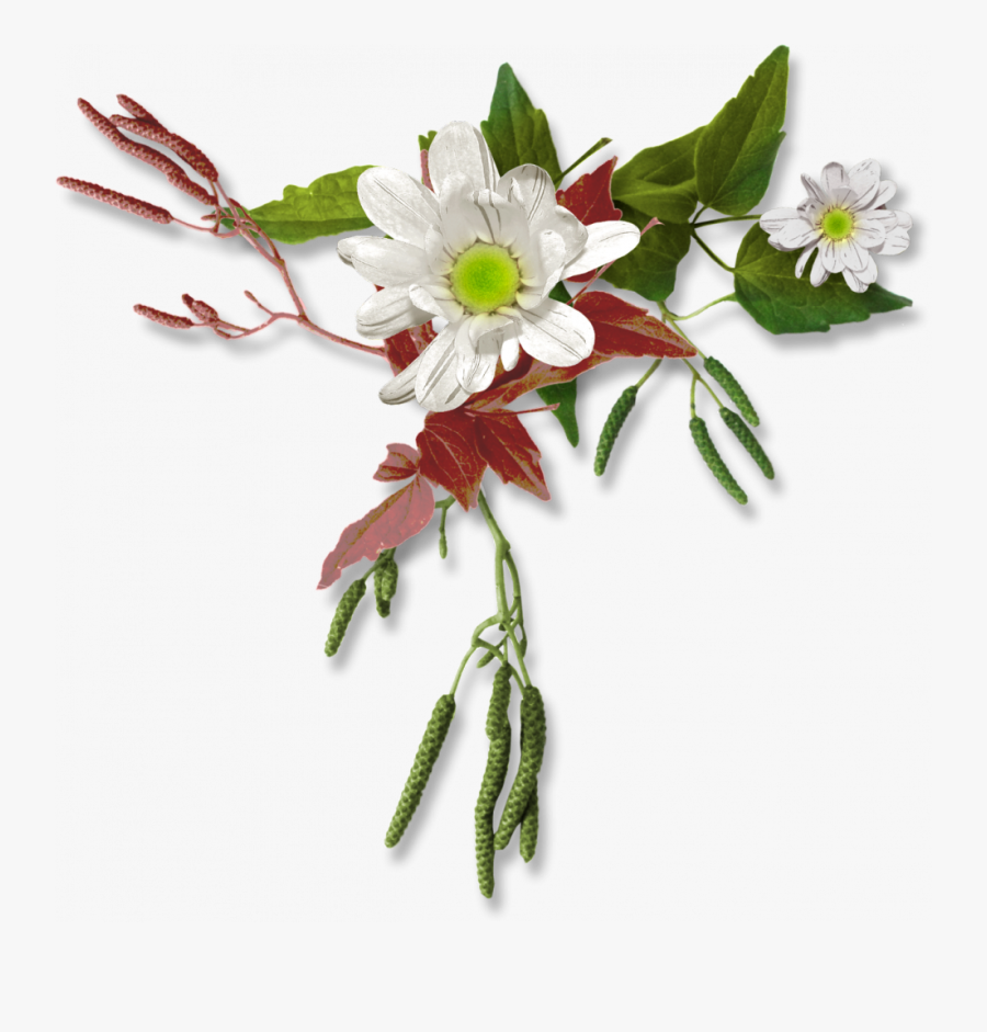 Elements Clusters - Clip Art, Transparent Clipart