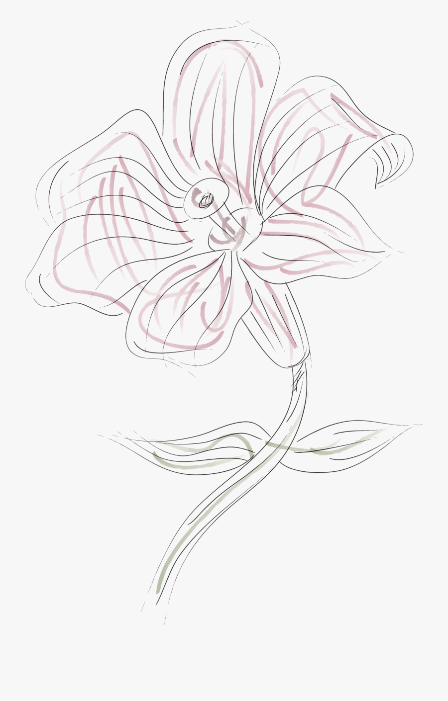 Graphic Freeuse Stock Painting Lilium Pattern Transprent - Lily, Transparent Clipart