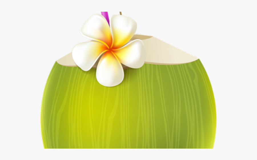 Imagens Pool Party Png, Transparent Clipart