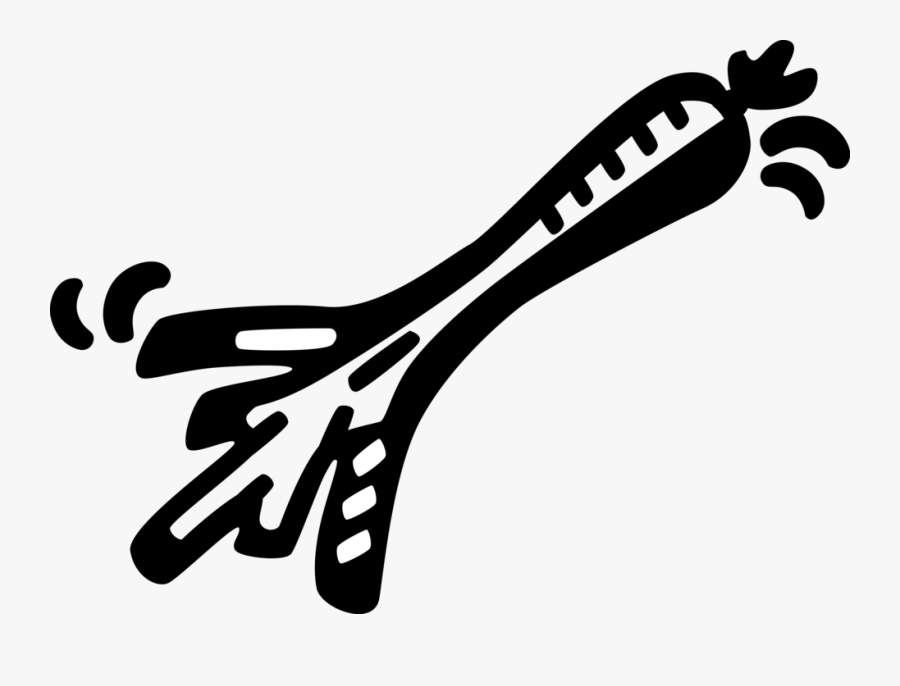 Vector Illustration Of Edible Vegetable Celery Stalk, Transparent Clipart