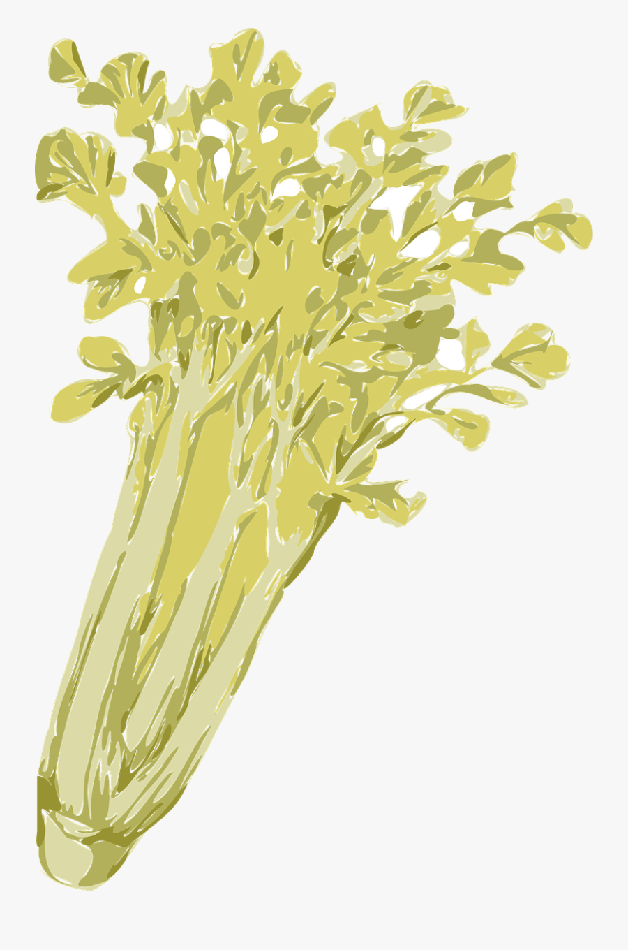 Celery Vegetables Green Free Photo - Seledri Vector Png, Transparent Clipart