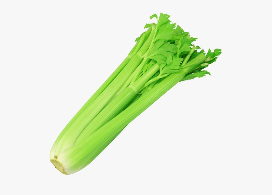 Transparent Celery Png - Celery Png, Transparent Clipart