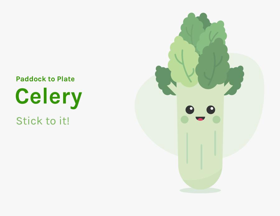 Cauliflower, Transparent Clipart