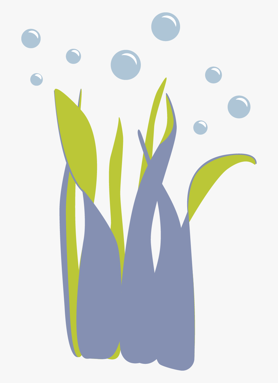 Graphic Design, Transparent Clipart