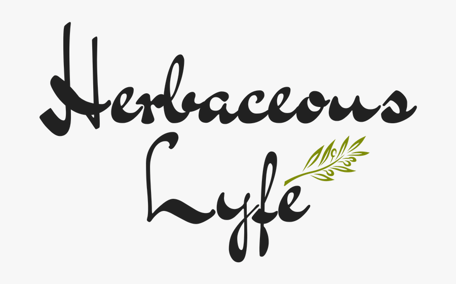 Herbaceouslyfe - Calligraphy, Transparent Clipart