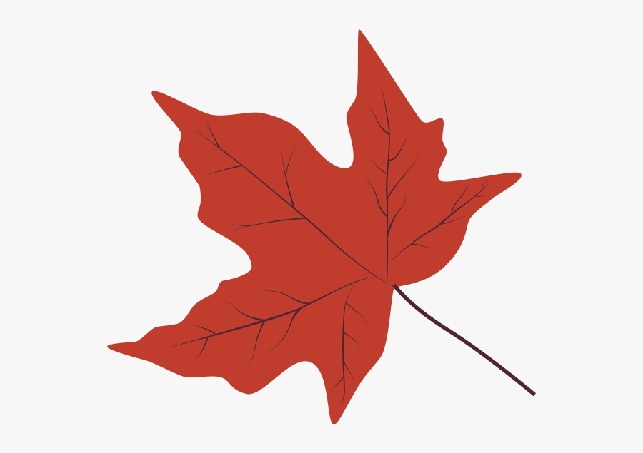 Sugar Maple Leaf Logo, Transparent Clipart