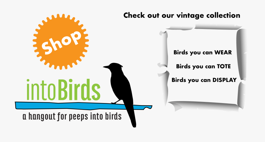 Transparent See You Soon Clipart - Perching Bird, Transparent Clipart