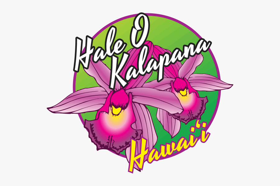 Cypripedium, Transparent Clipart