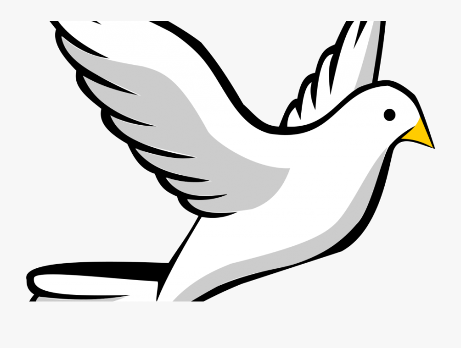 Holy Spirit Dove Png Clipart , Png Download - White Pigeon Clipart, Transparent Clipart