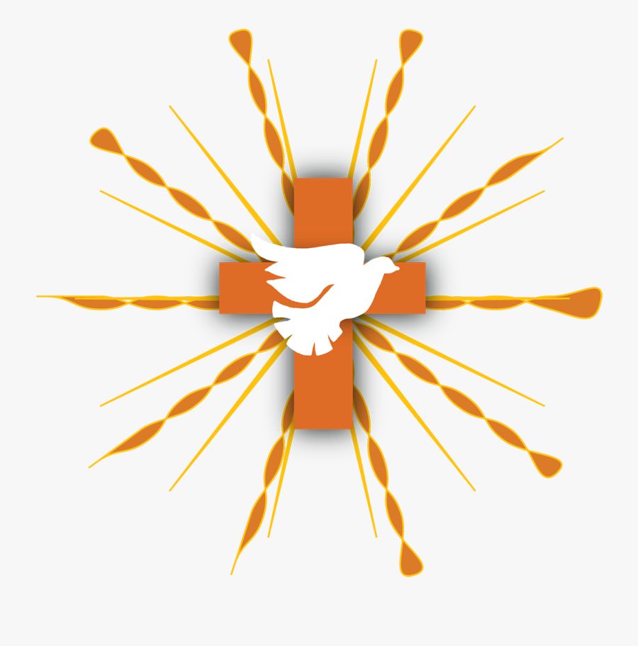 Graphic Design, Transparent Clipart