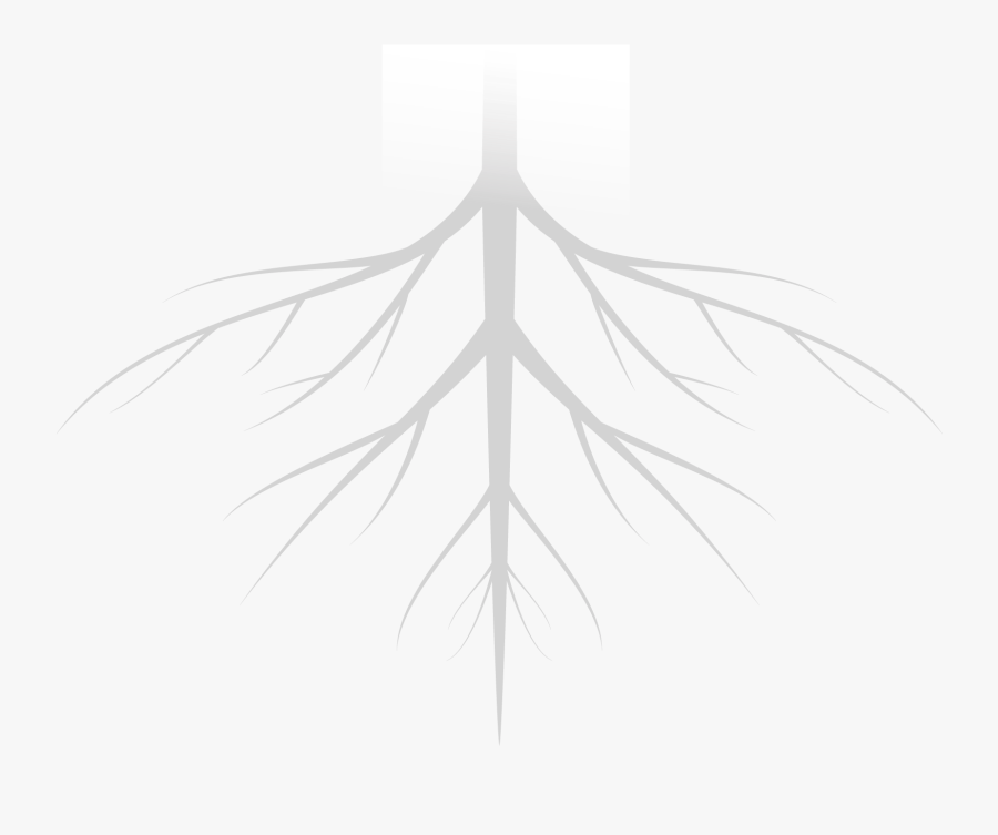 Transparent Pebble Clipart Black And White - Plant With Roots Clipart Hd, Transparent Clipart