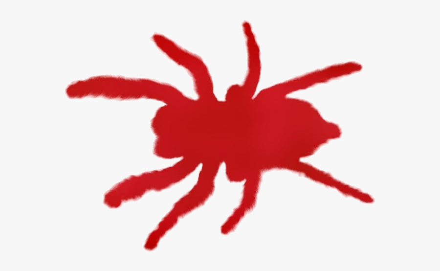 Colorful Scary Spiders Png Clipart - Illustration, Transparent Clipart