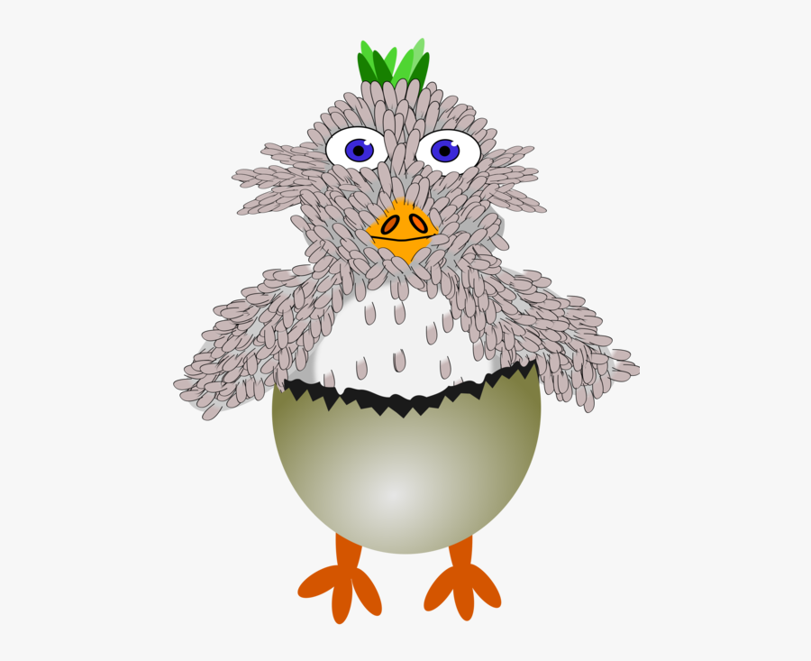 Galliformes,owl,tree, Transparent Clipart