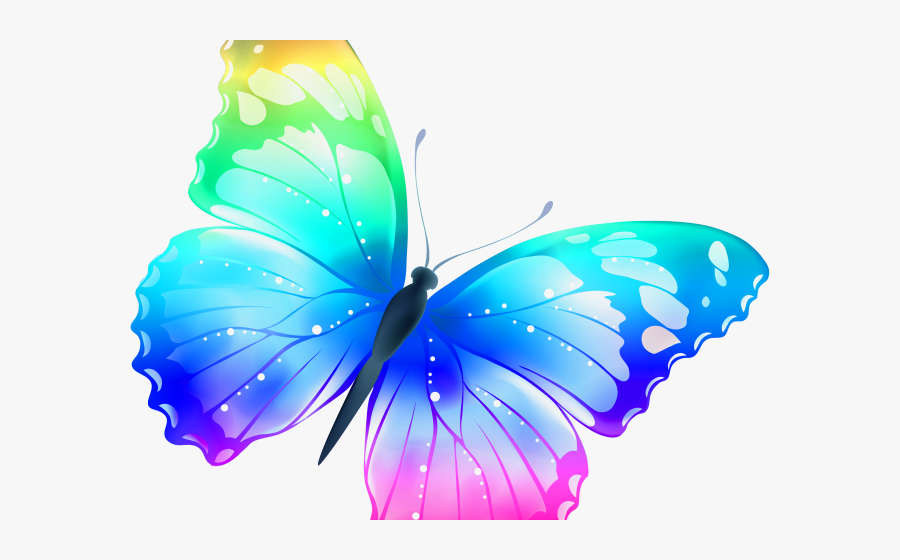 Rainbow Colour Butterfly, Transparent Clipart