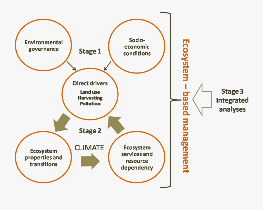 Project Structure - Dpi Dispositivi Di Protezione Individuale, Transparent Clipart
