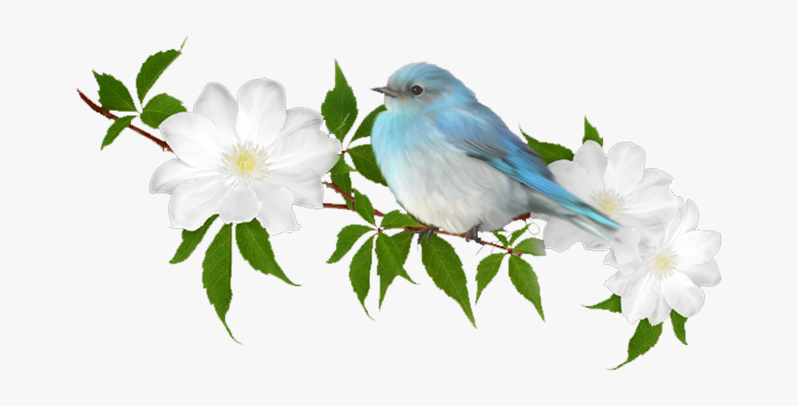 Je T Embrasse Mon Amie, Transparent Clipart