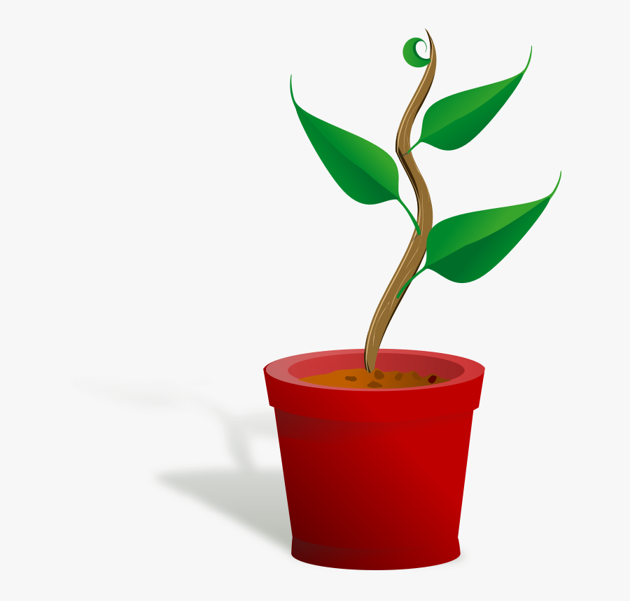 Clip Art Church Growth Free - Getting To Know Plants, Transparent Clipart