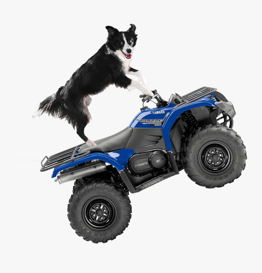 Dog Driving Quad Bike, Transparent Clipart