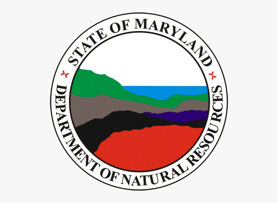 Star Local News Fm - Maryland Department Of Natural Resources, Transparent Clipart