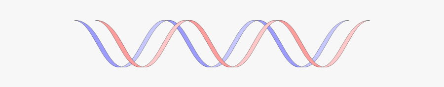 Stylized Dna - Gen Transparent, Transparent Clipart