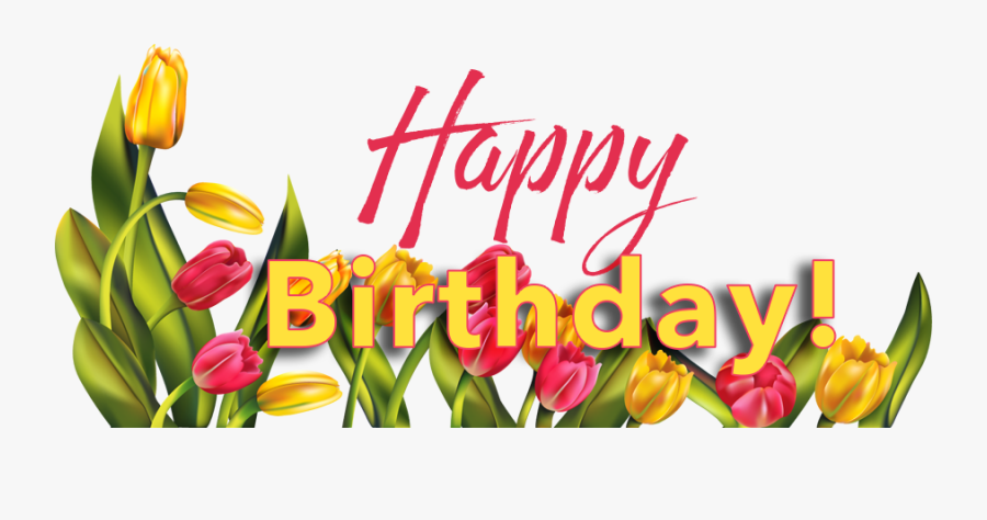 Birthday Lady Clipart - Royalty-Free (RF) Clip Art Illustration of a ...