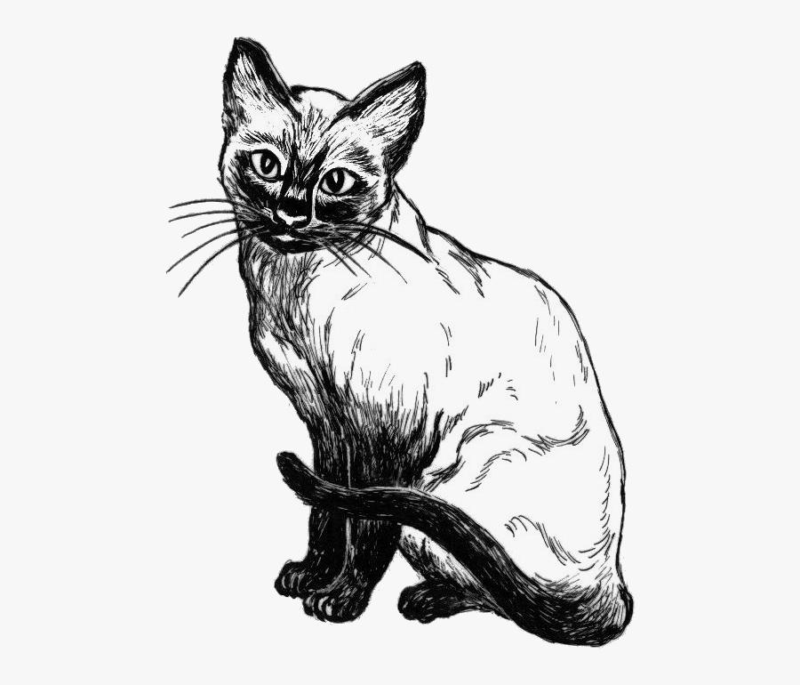 Puppyand Cat Vector Free Download Black And White - Gato Siames Para Colorear, Transparent Clipart