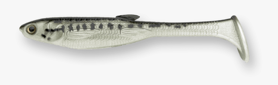 Sardine, Transparent Clipart