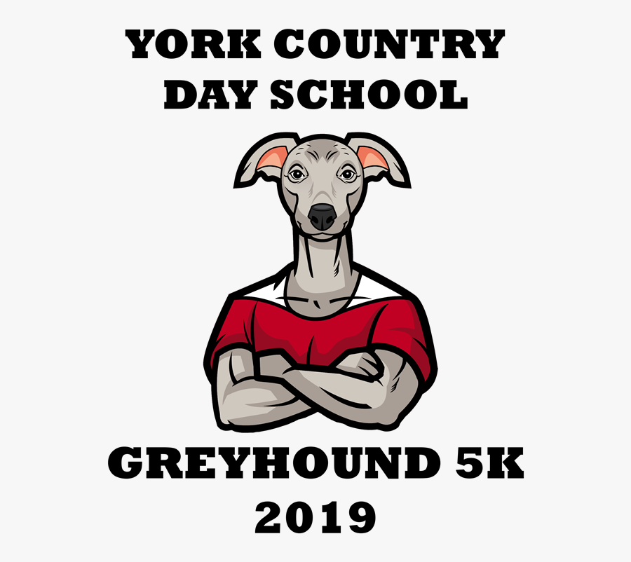 Greyhounds York Country Day School, Transparent Clipart