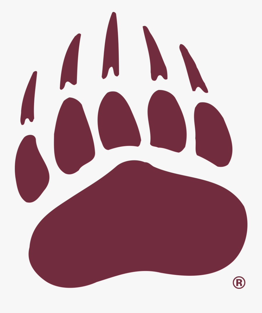 Montana Grizzlies - University Of Montana Grizzlies, Transparent Clipart
