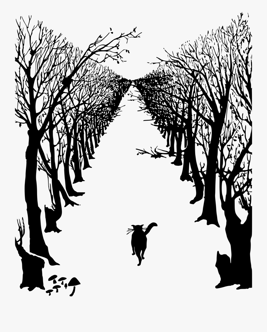 And Avenue Of Trees - Rudyard Kipling Illustrations Just So Stories, Transparent Clipart