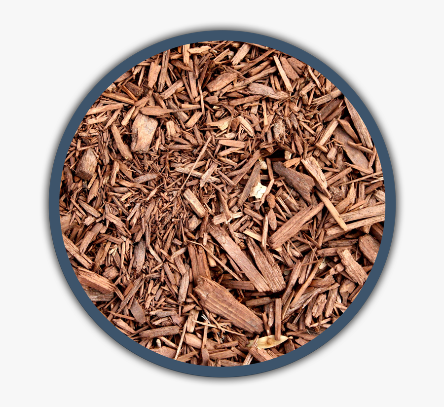 Dambly"s Garden Center, Transparent Clipart