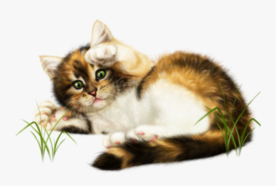#kitten #kitty #cat #cute #playtime #layingdown #ftestickers - Bildergrüße Mit Herz Sonntag, Transparent Clipart