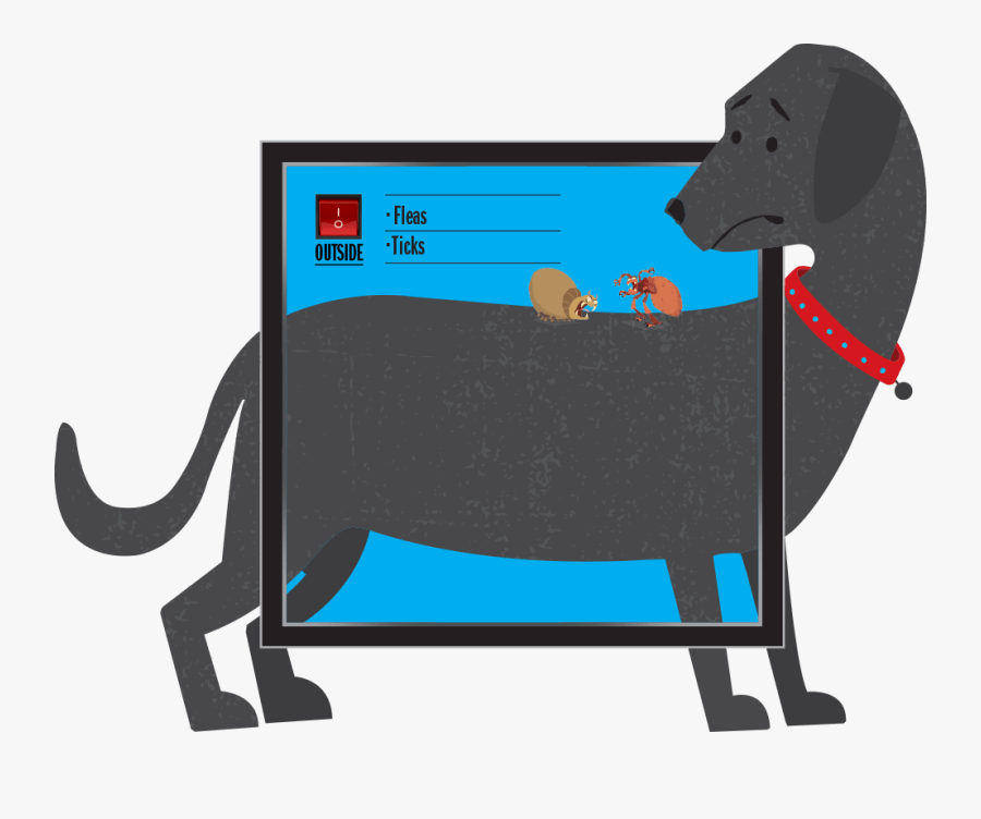 Ticks And Fleas Inhabit The Outside Of A Dog - Cartoon, Transparent Clipart