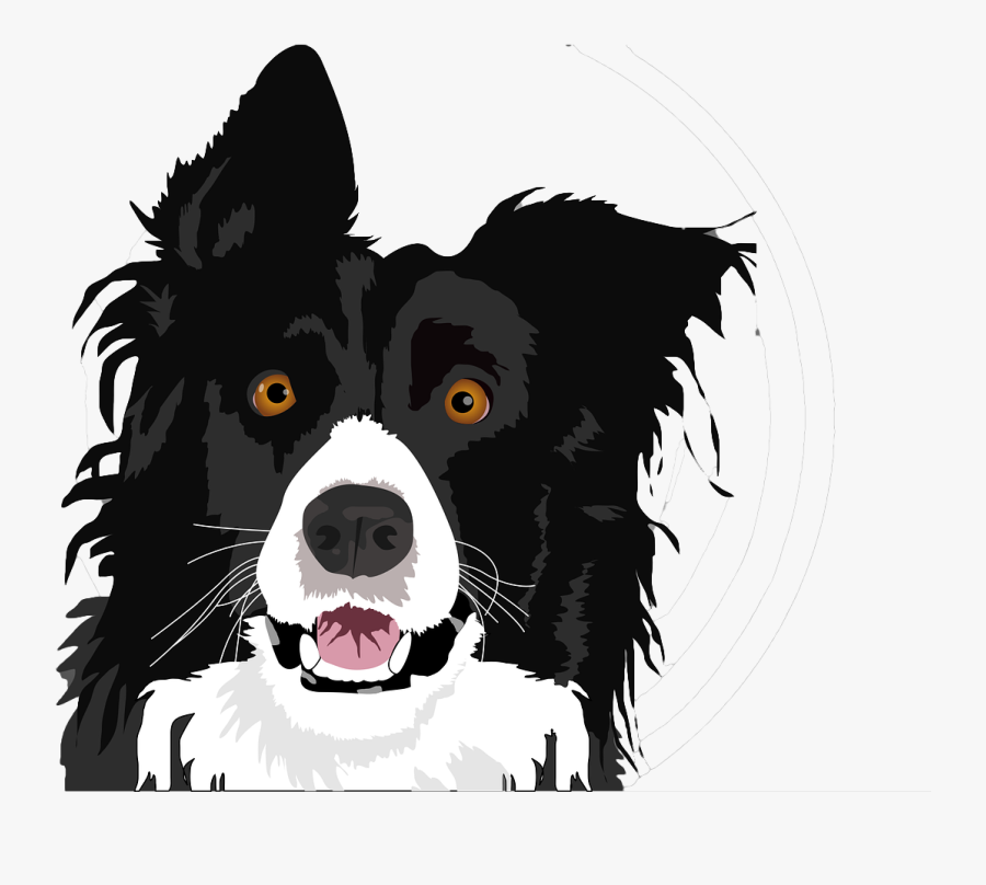 Animal Blowing A Buble, Transparent Clipart