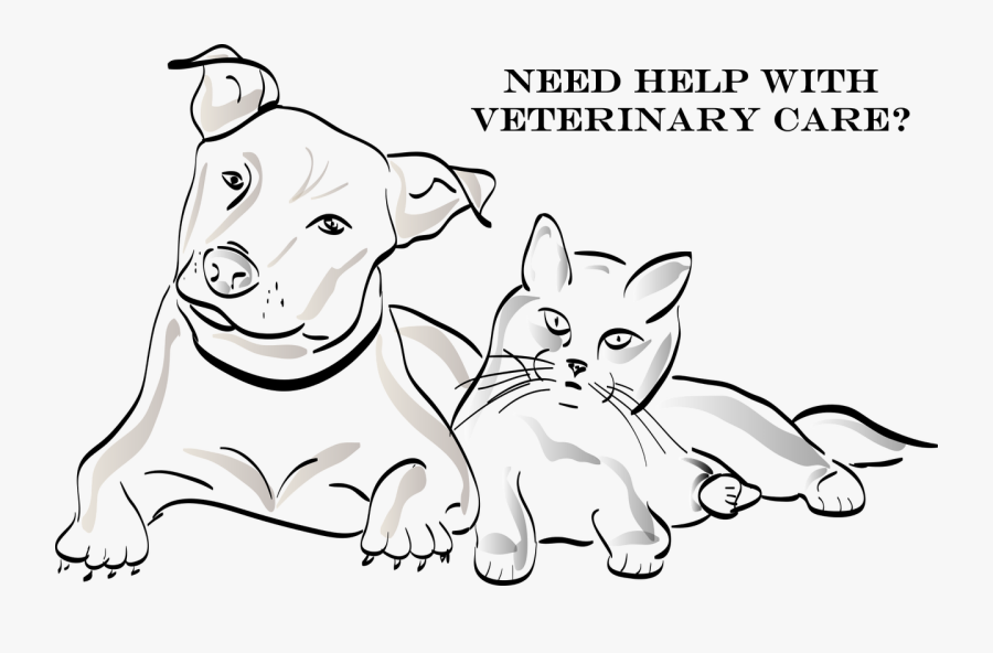 Help With Veterinary Costs - Dog And Cat Sketch, Transparent Clipart