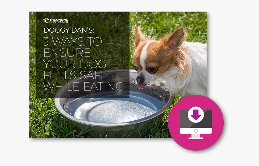 Chihuahua, Transparent Clipart