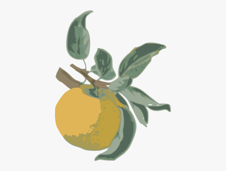 Yellow Apple-1574850711 - Illustration, Transparent Clipart