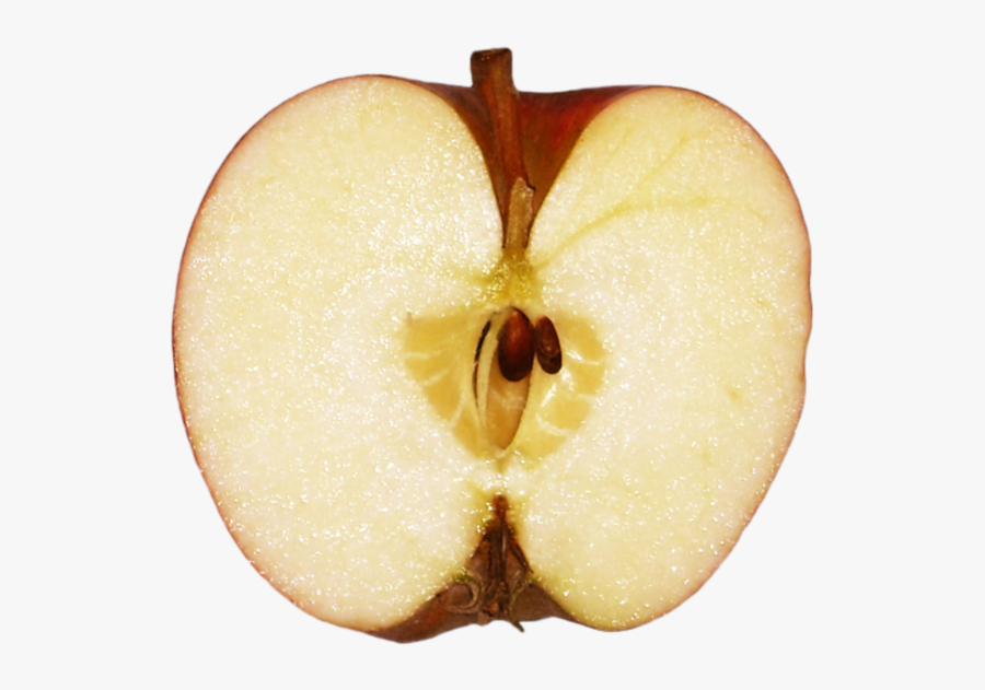 Transparent Half An Apple Clipart - Apple Half Png Free, Transparent Clipart