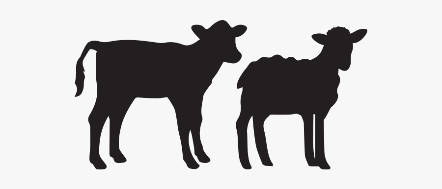 Sheep Clipart Lam - Transparent Lamb Silhouette Png, Transparent Clipart