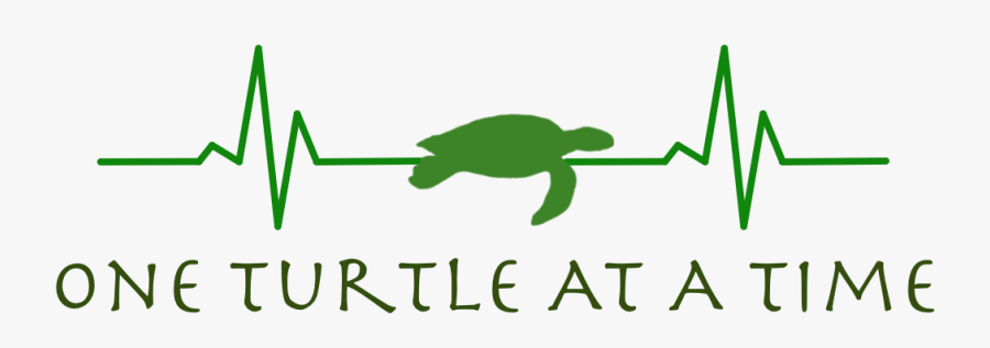 Green Sea Turtle Clipart , Png Download - Extremeireland, Transparent Clipart