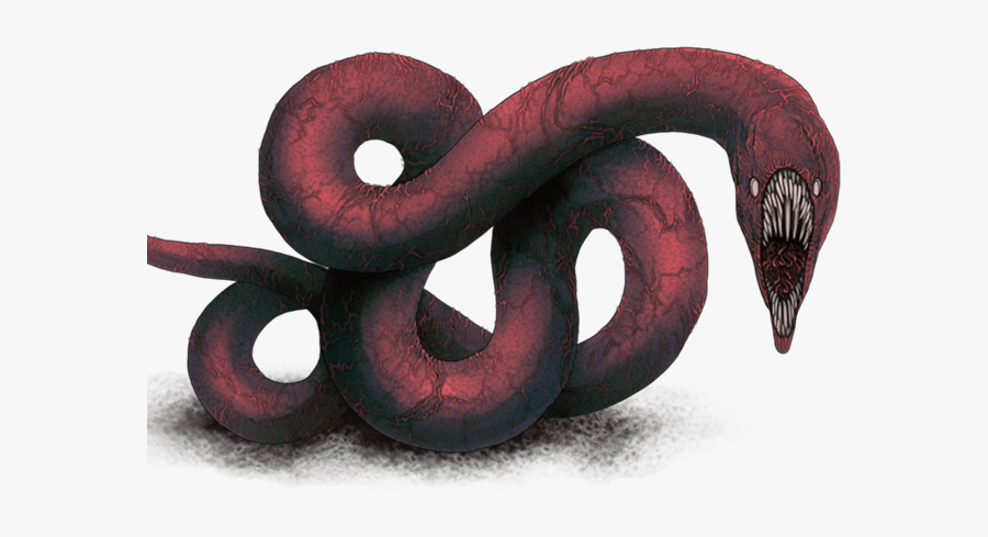 Snake, Transparent Clipart