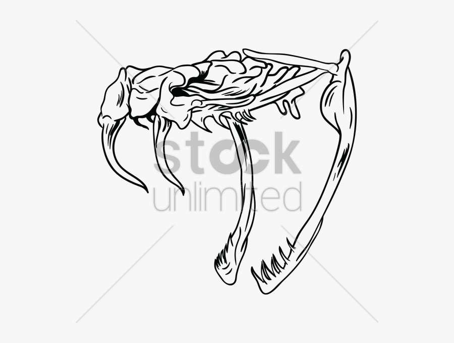Snake Vector Head, Transparent Clipart