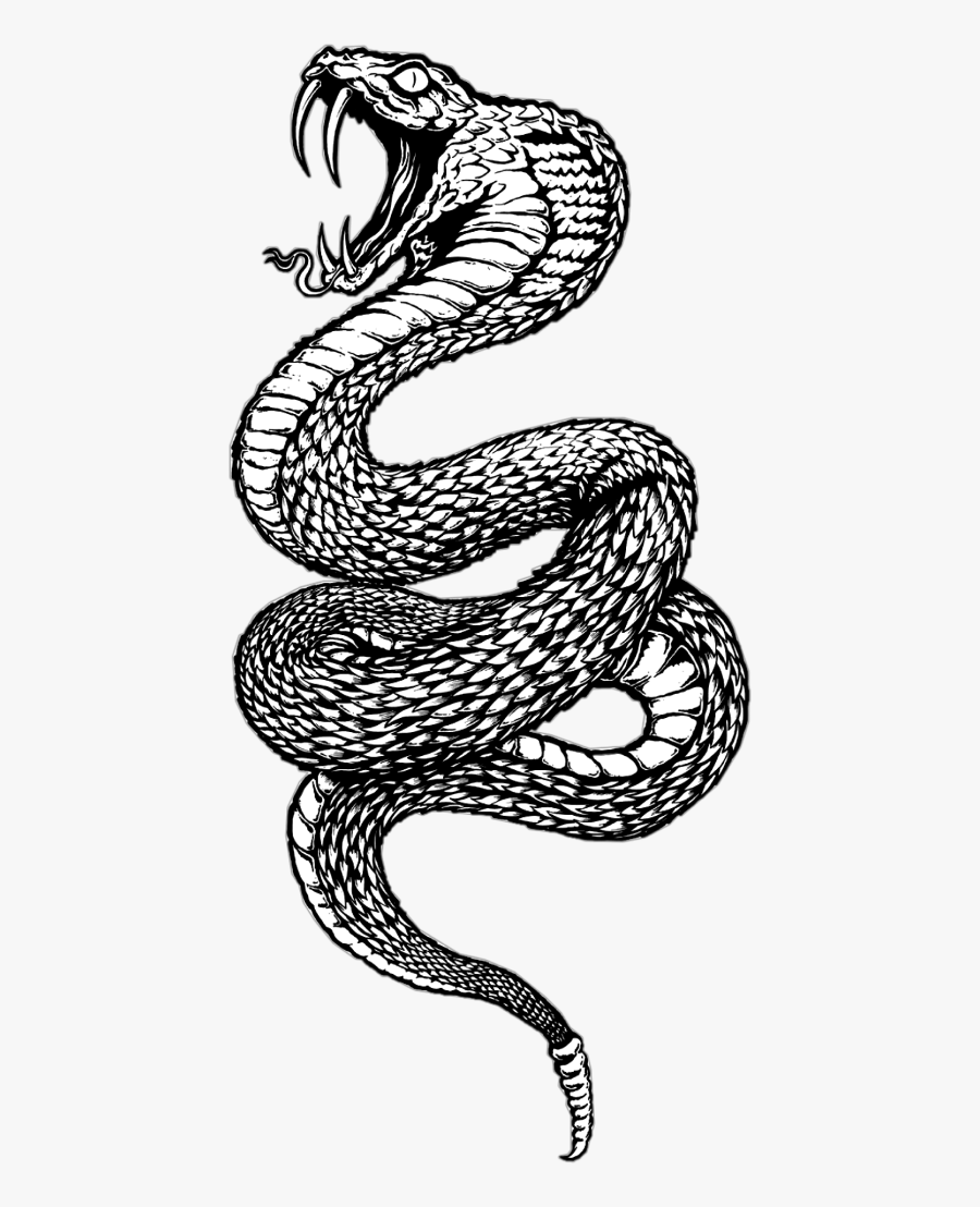 Scsnake Snake Freetoedit - Serpent, Transparent Clipart