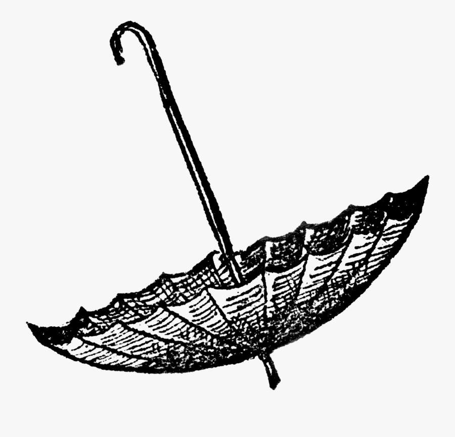 Umbrella - Illustration, Transparent Clipart