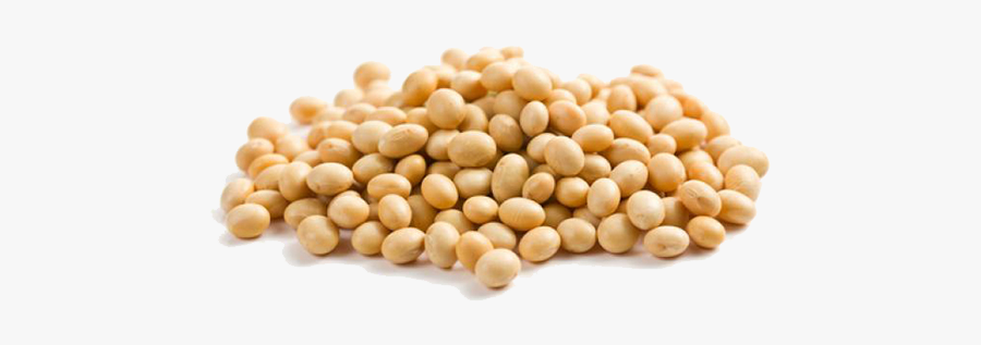 Soybean Seed Png Transparent Soybean Seed Images - Soya Png, Transparent Clipart